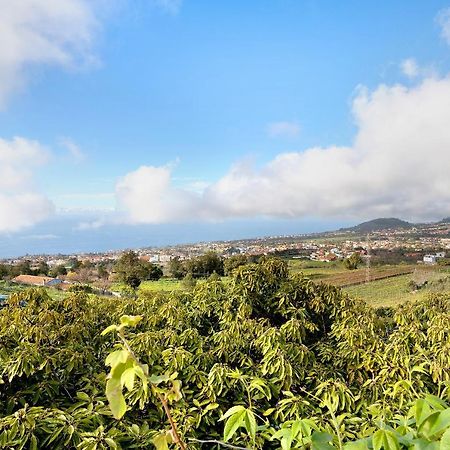 Villa Casa Andrea Tacoronte Esterno foto