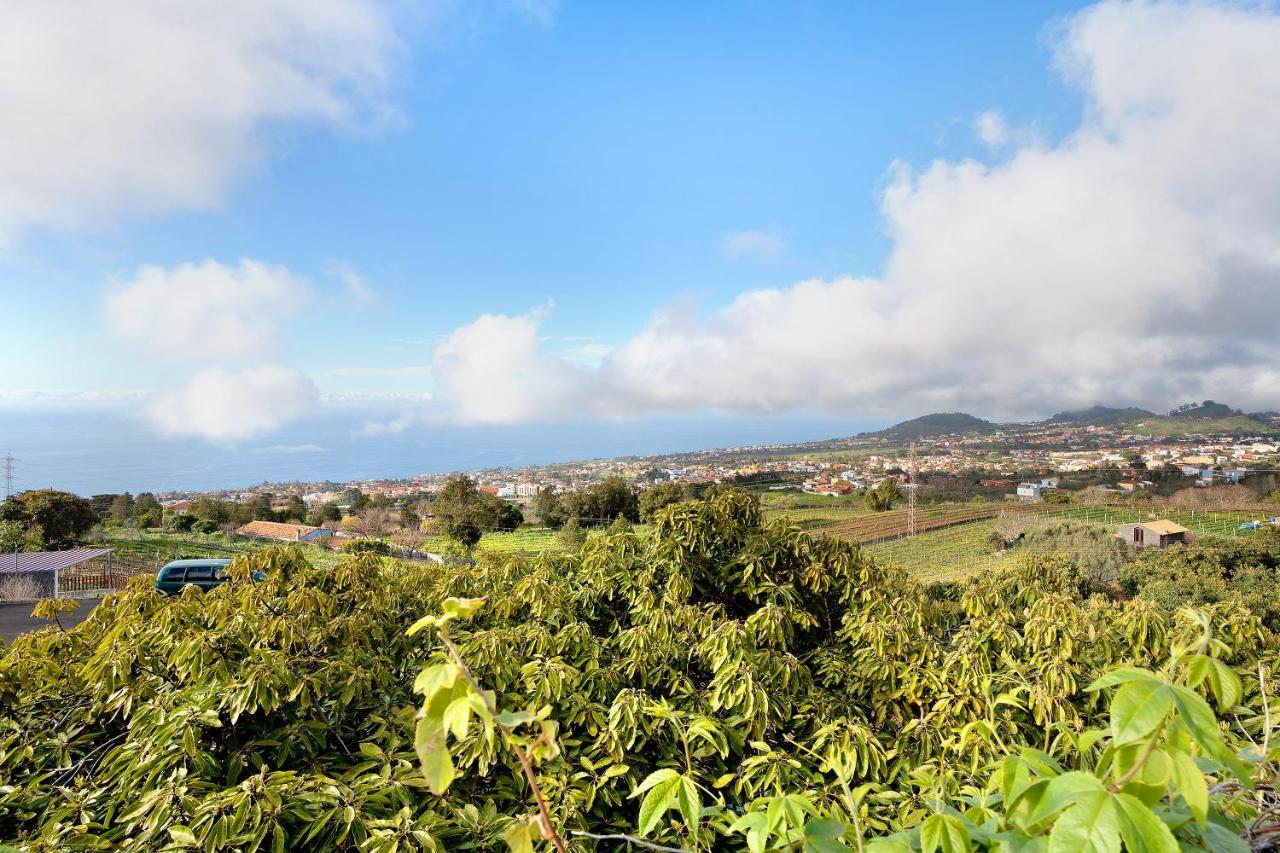 Villa Casa Andrea Tacoronte Esterno foto